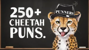 Cheetah Puns