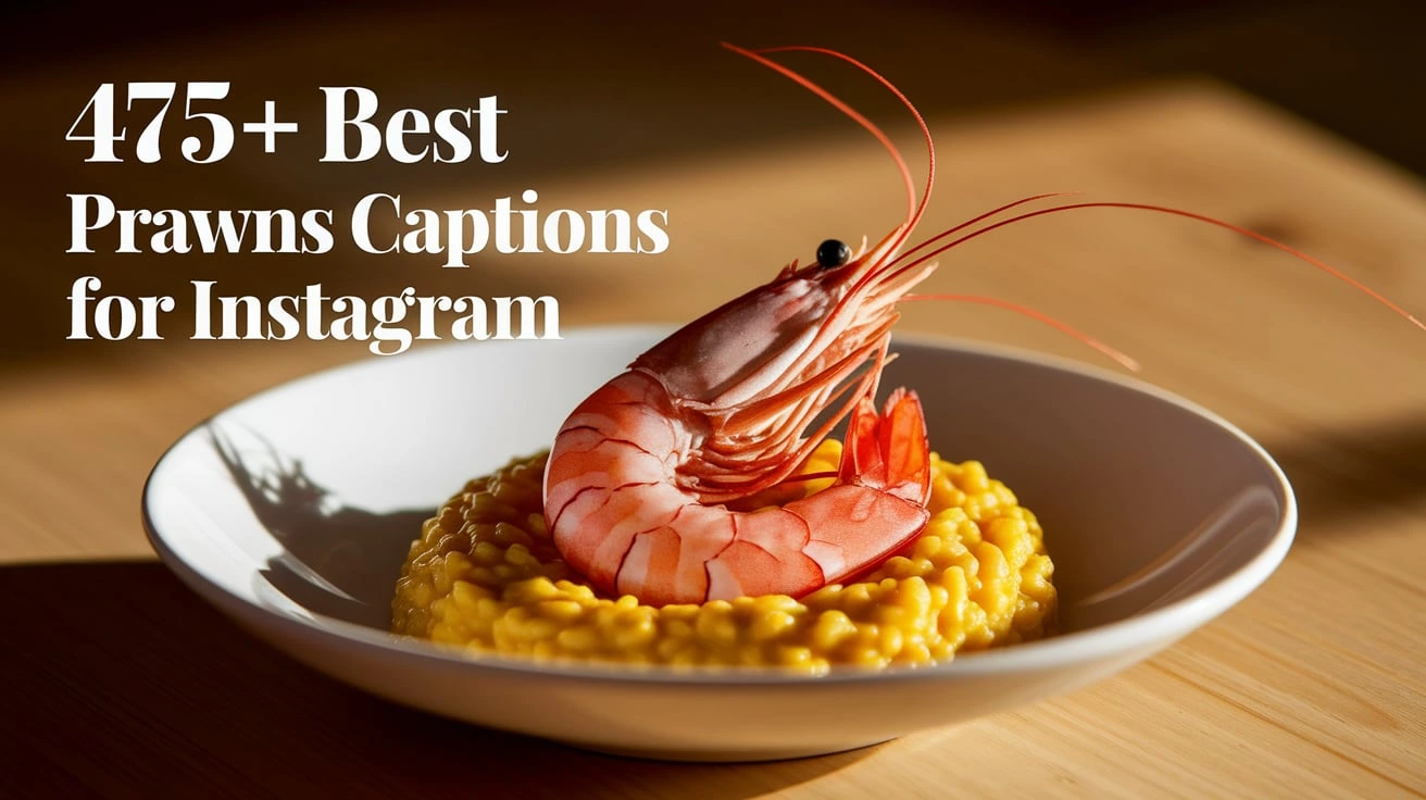 475+ Best Prawns Captions for Instagram